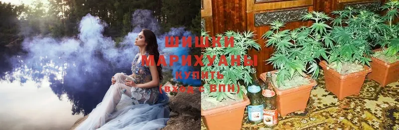 купить закладку  Добрянка  Каннабис SATIVA & INDICA 